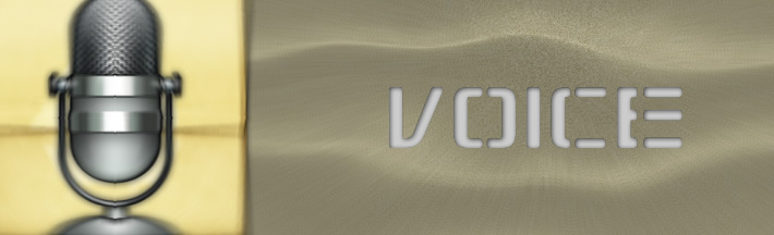 Voice Voice
